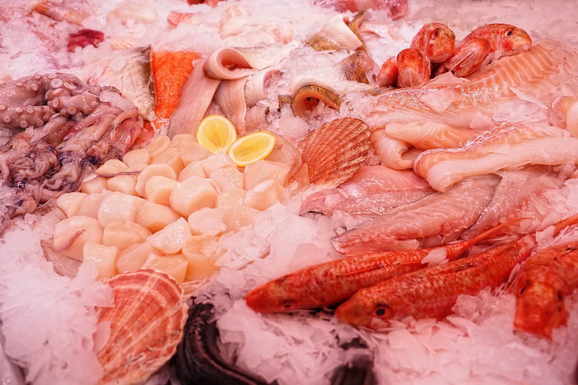 Garnelen, Jakobsmuscheln und Fisch auf Eis