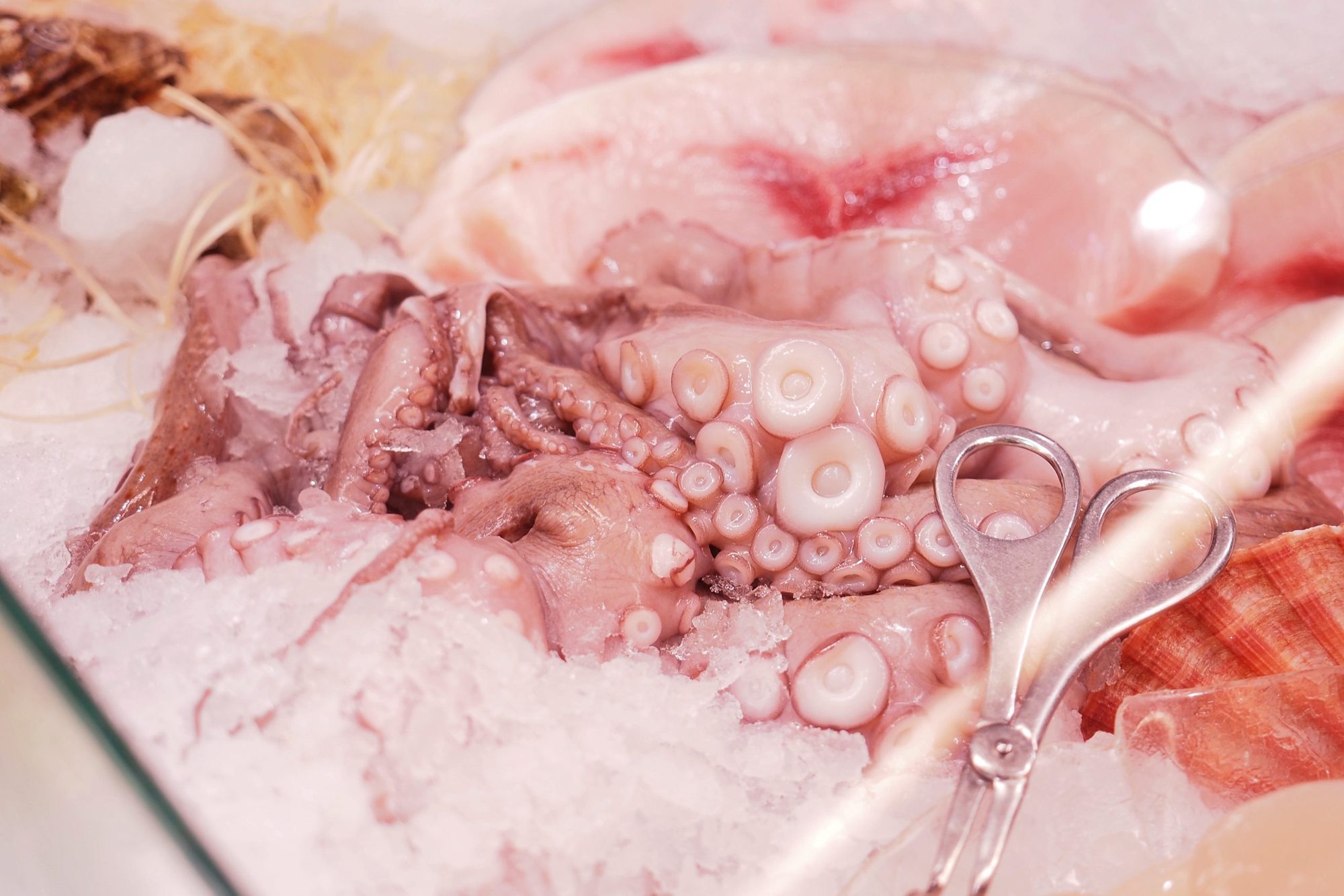 Frischfisch auf Eis