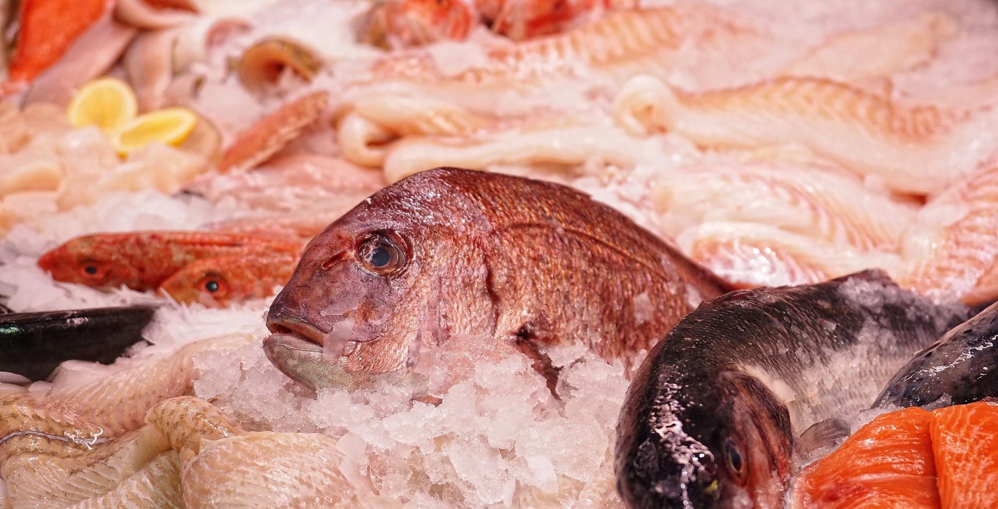 Frischer Fisch auf Eis in der Theke
